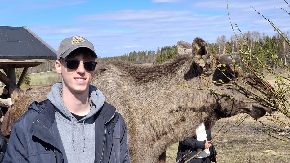 man and a moose