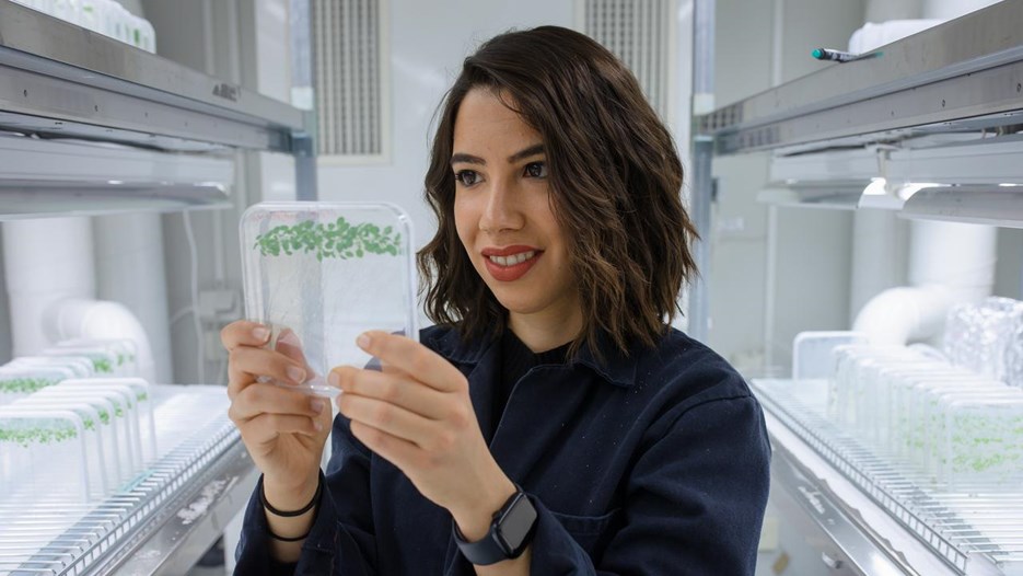 Laura Bacete with shoulder-long brown hair and a blue lab coat is watchin on a plate with green seedlings that she holds in her hand. Behind her are methal shelves with more plates.