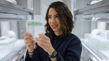 Laura Bacete Cano