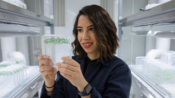 Laura Bacete with shoulder-long brown hair and a blue lab coat is watchin on a plate with green seedlings that she holds in her hand. Behind her are methal shelves with more plates.