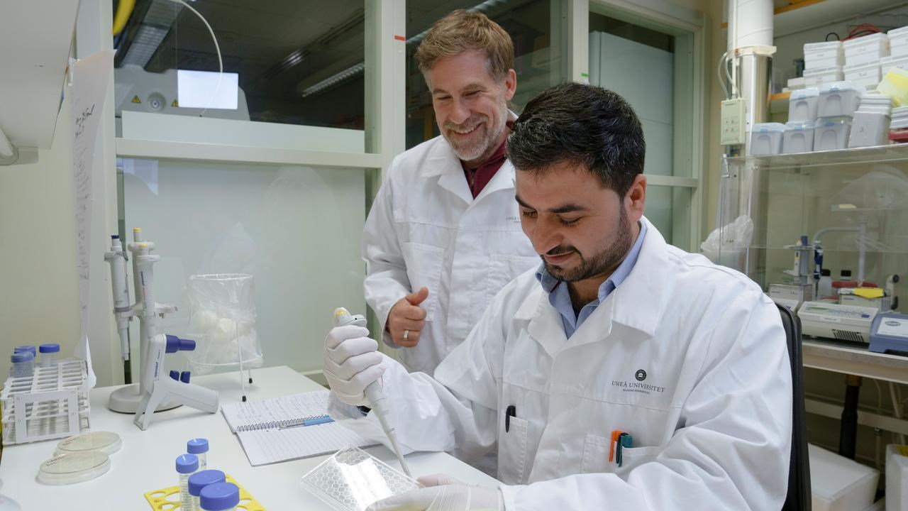 Nadeem UllahPostdoktor vid Institutionen för klinisk mikrobiologisamt Constantin UrbanProfessor vid Institutionen för klinisk mikrobiologiEnhet: Immunologi, Avdelningen för infektion och immunologi
