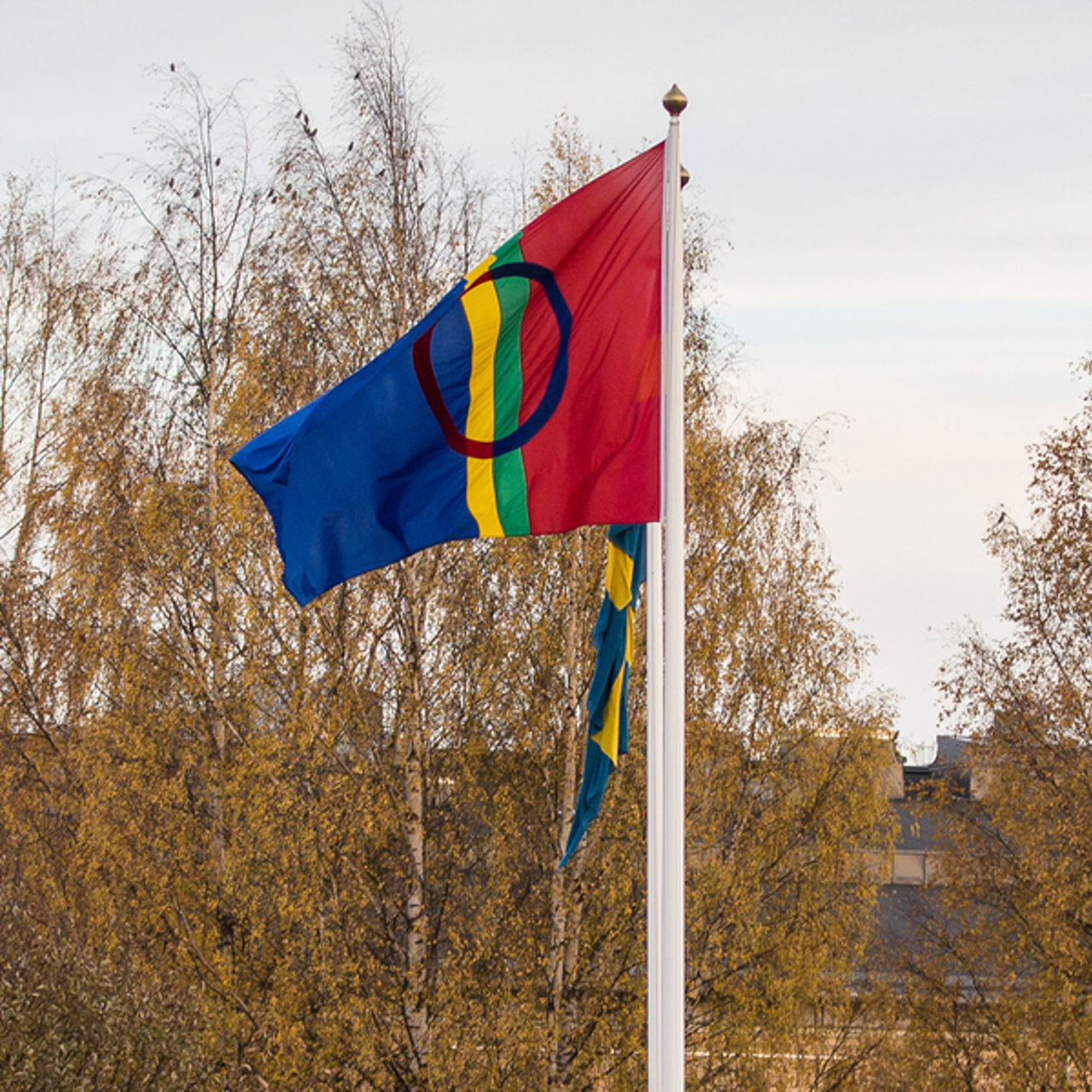Bild p&aring; samiska flaggan