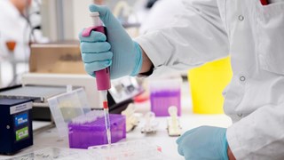 Bild på  arbete i labb