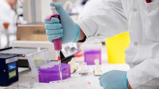 Bild på  arbete i labb