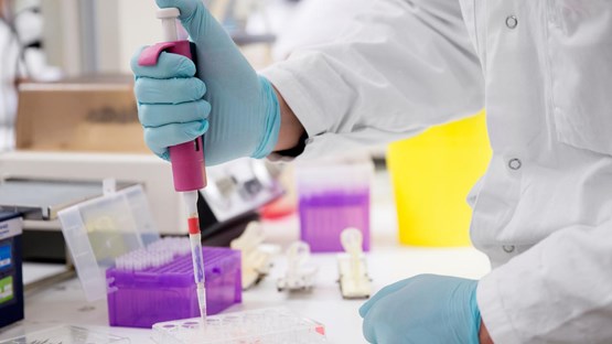 Bild på  arbete i labb