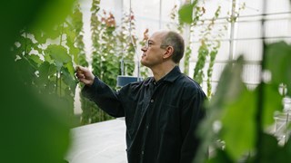 En man studerar en växt som syns i förgrunden.
