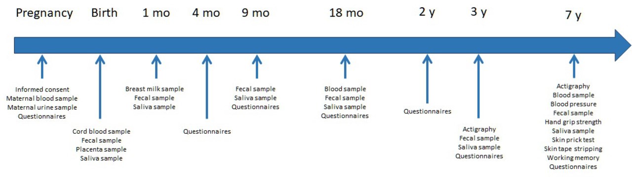 Timeline