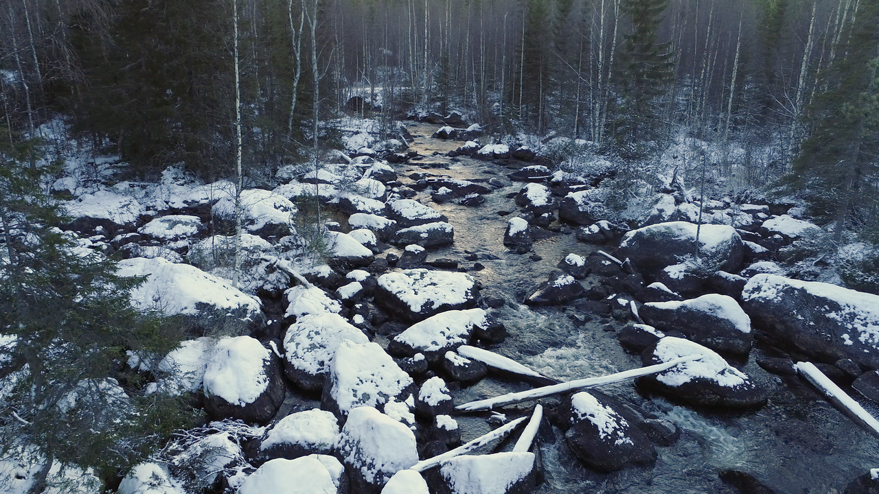 En bäck som rinner genom skogen med stenar täckta av snö.