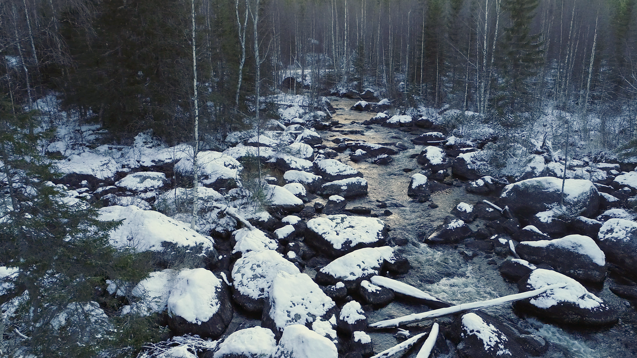 En bäck som rinner genom skogen med stenar täckta av snö.