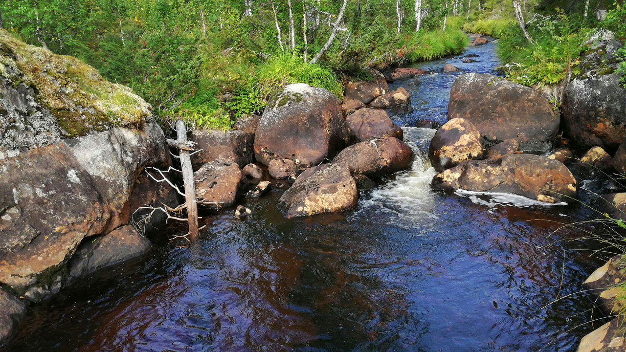 Vatten omgivet av stenar och skog.