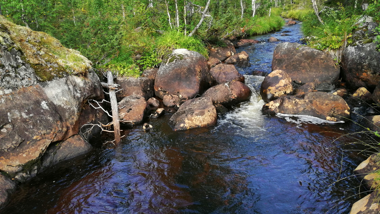 Vatten omgivet av stenar och skog.
