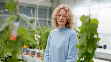 Åsa Strand,  professor vid Institutionen för fysiologisk botanik