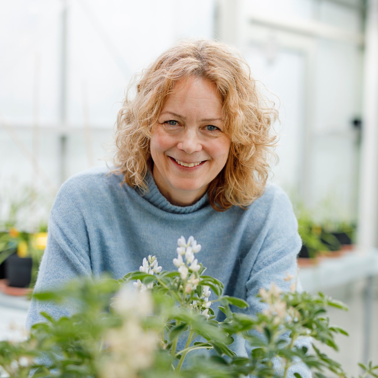 Åsa Strand,  professor vid Institutionen för fysiologisk botanik