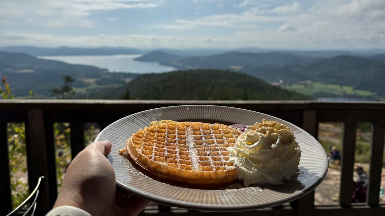 Hand holding a plate with a waffle, with the High Coast landscape in the background.