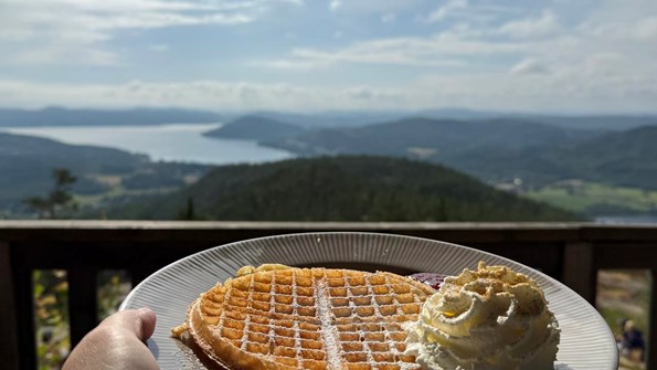 Hand som håller fram tallrik med våffla med Höga kusten landskap i bakgrunden.