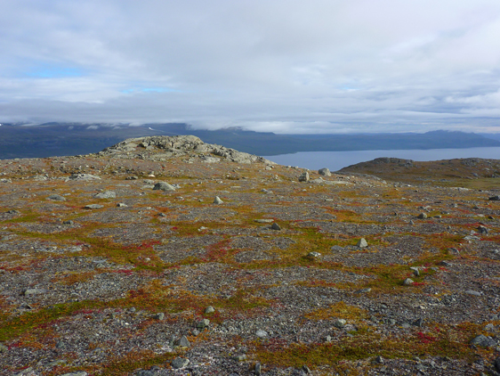 Picture of soil frost affects in northern Sweden.