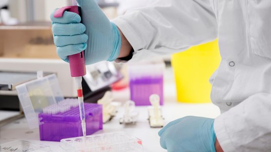 Bild på  arbete i labb