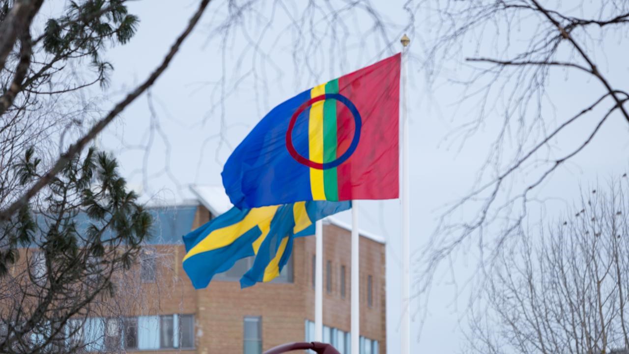 Den samiska flaggan vajar bredvid tv&aring; svenska p&aring; flaggst&auml;ngerna p&aring; campus Ume&aring;.