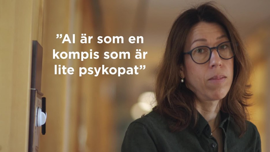 Film: Se Johanna Björklund berätta om sin forskning i videon