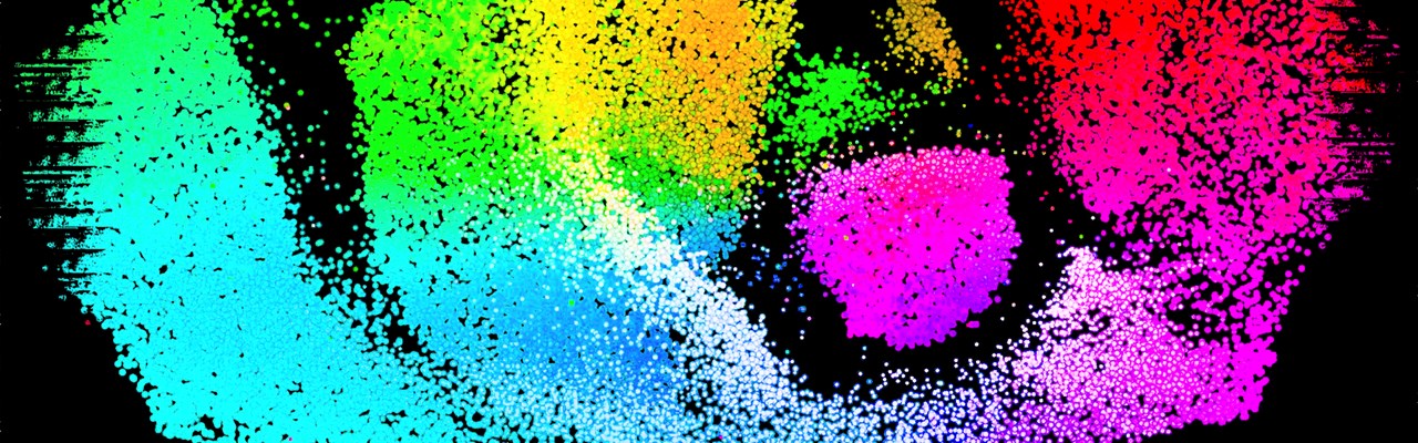 2D visualization of single-cell transcriptomes of the developing human brain.