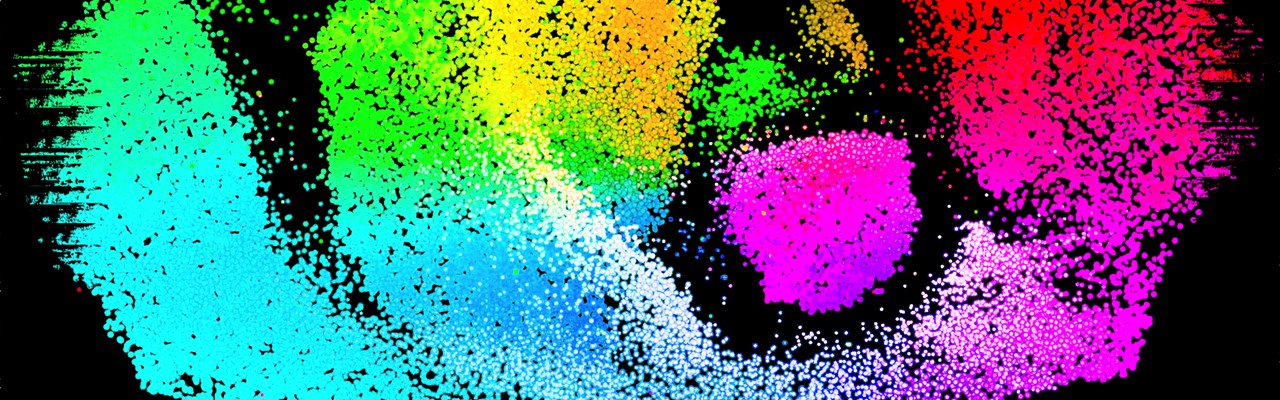 2D visualization of single-cell transcriptomes of the developing human brain.