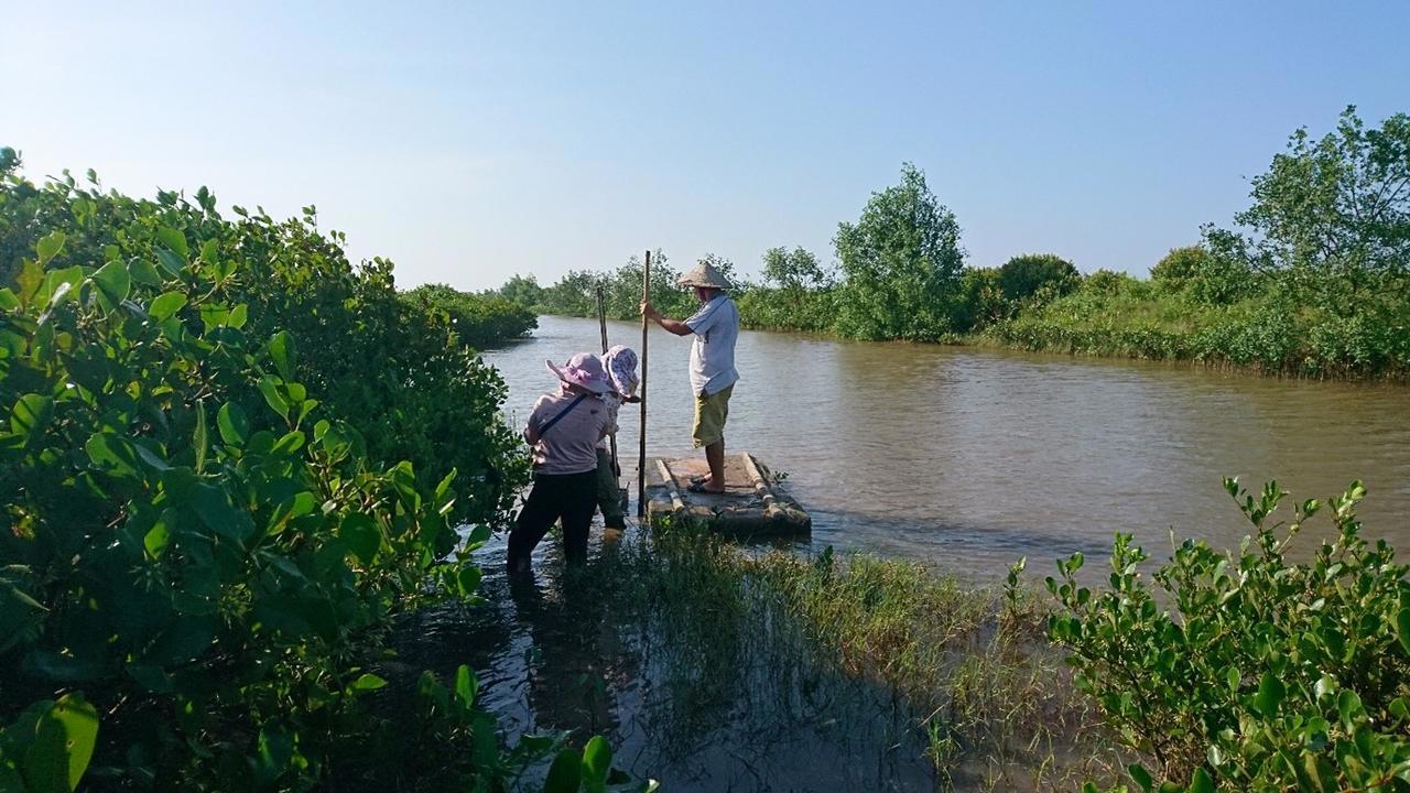 People at mangrove forests located in shrimp farm aquaculture in northern Vietnam.