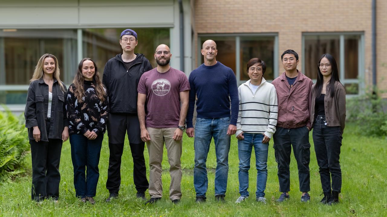 gruppbild av Jean-Francois Boily Lab