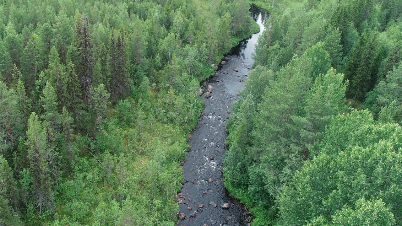 En älv som rinner genom en skog.