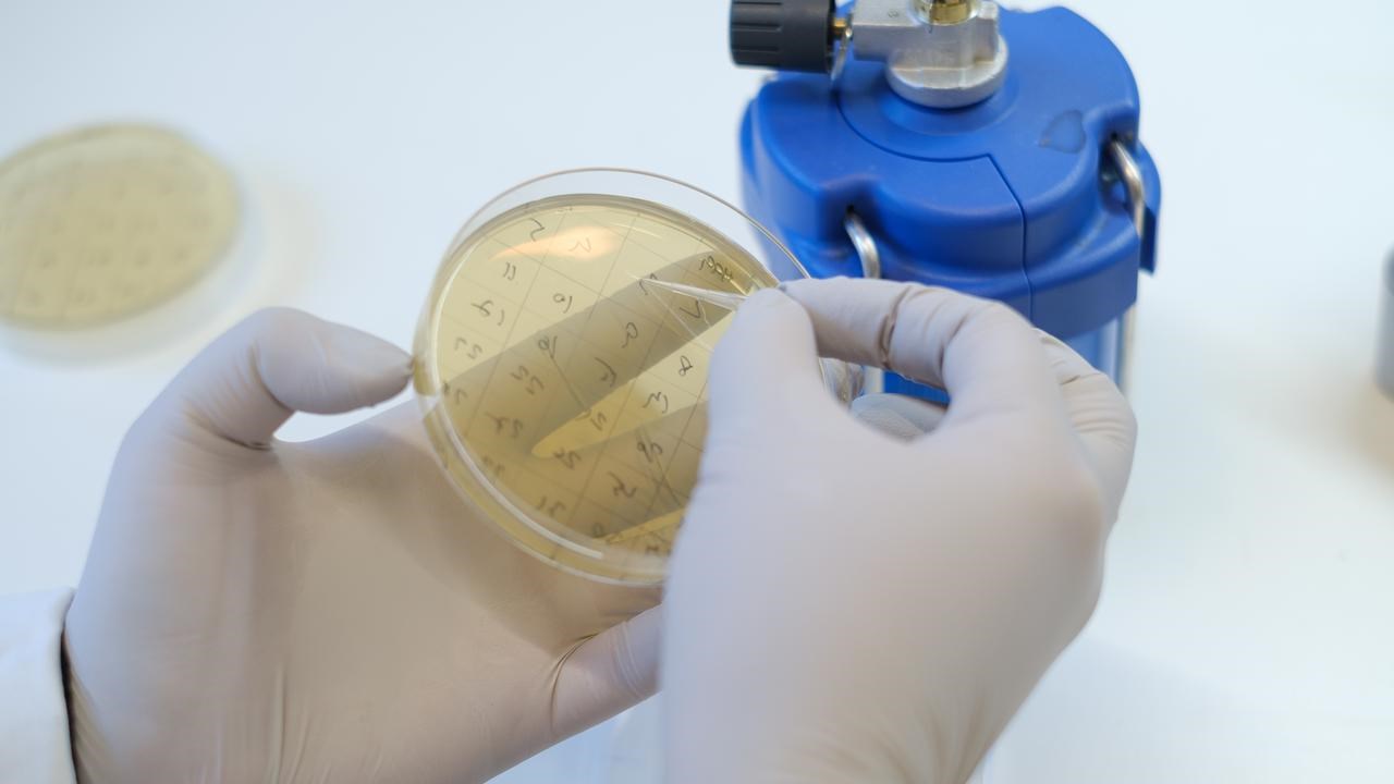 Lab work