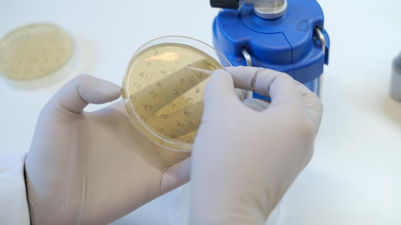 Lab work
