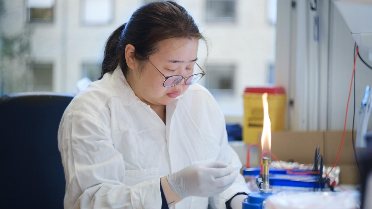 Lab work