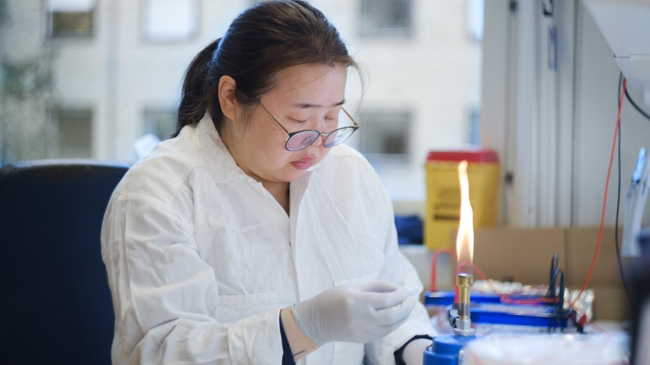 Lab work