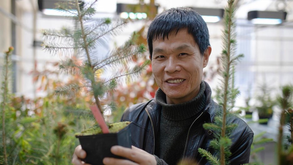 Porträt of Jian-Feng Mao in a greenhouse holding a pot with a young pine tree in his hands.