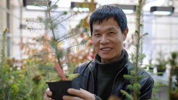 Umeå Plant Science Centre, växtforskning Jian-Feng Mao