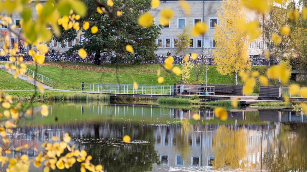 Höstfärger på campus. Vy över dammen mot Universitetsbiblioteket.