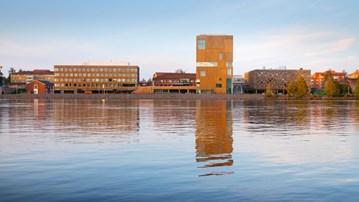 Bildmuseet
