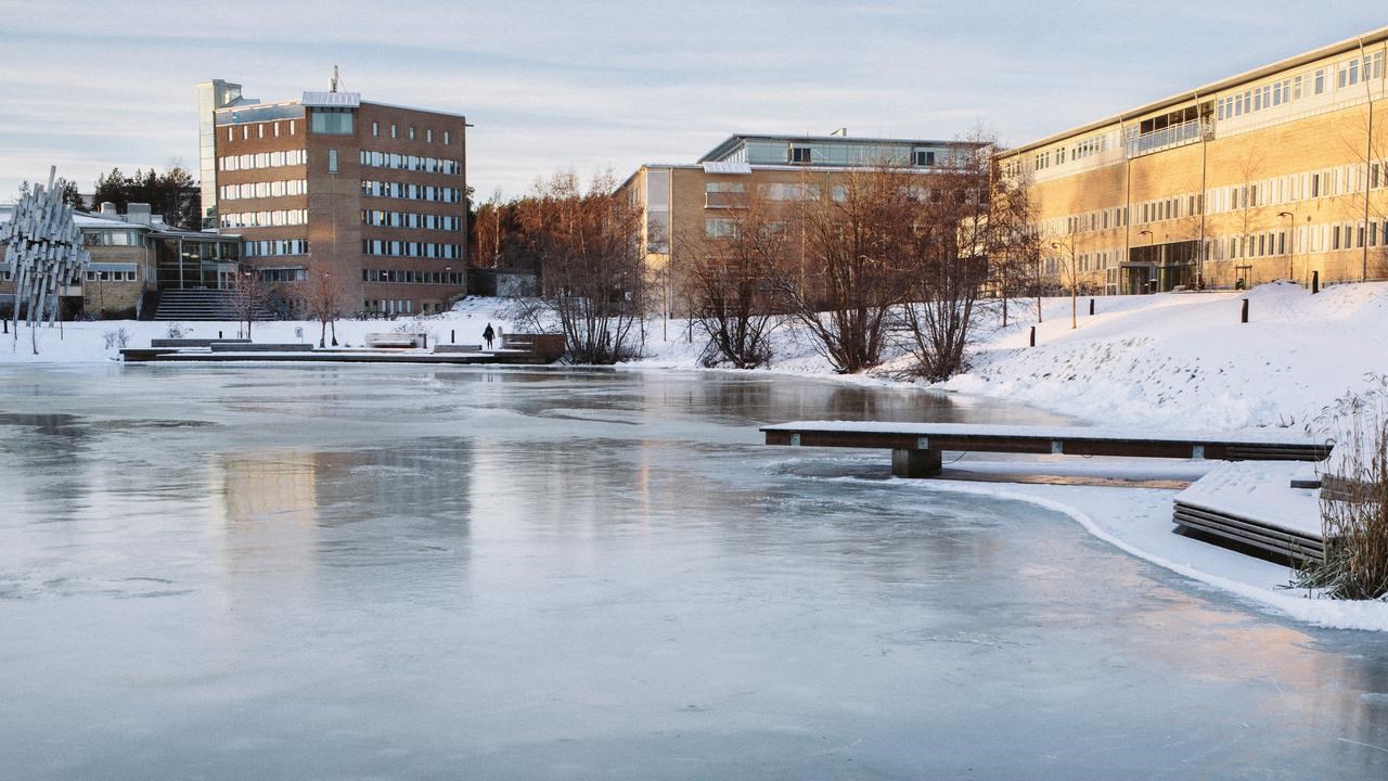 Bild på dammen vinter
