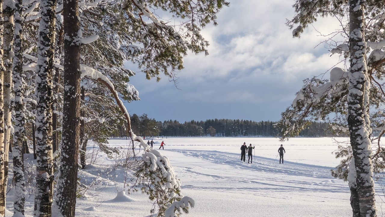 Skidåkare på Nydalasjön vintertid.