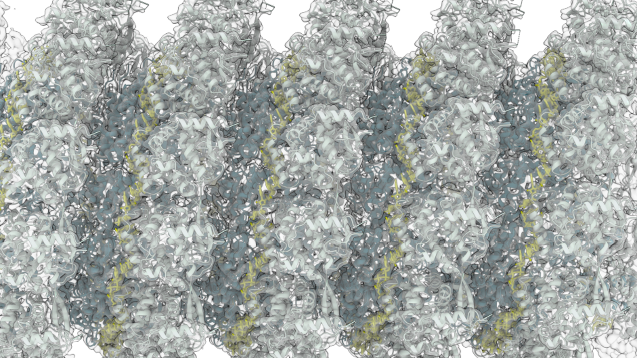CryoEM image