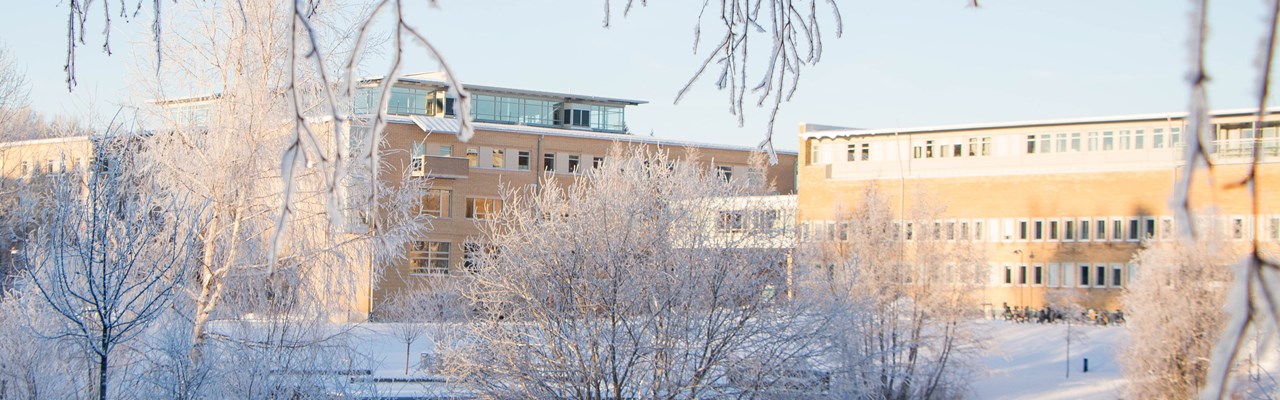 Bild på campus vintertid