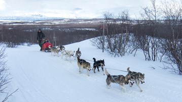 Bild på Hundspann