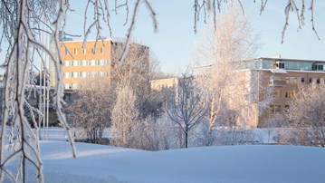 Bild på förvaltnings- och lärarutbildningshuset