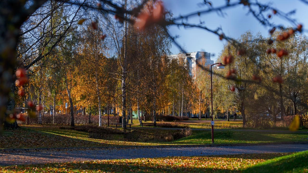 Campus i höstfärger