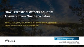 Film: How terrestrial affects aquatic: Answers from northern lakes