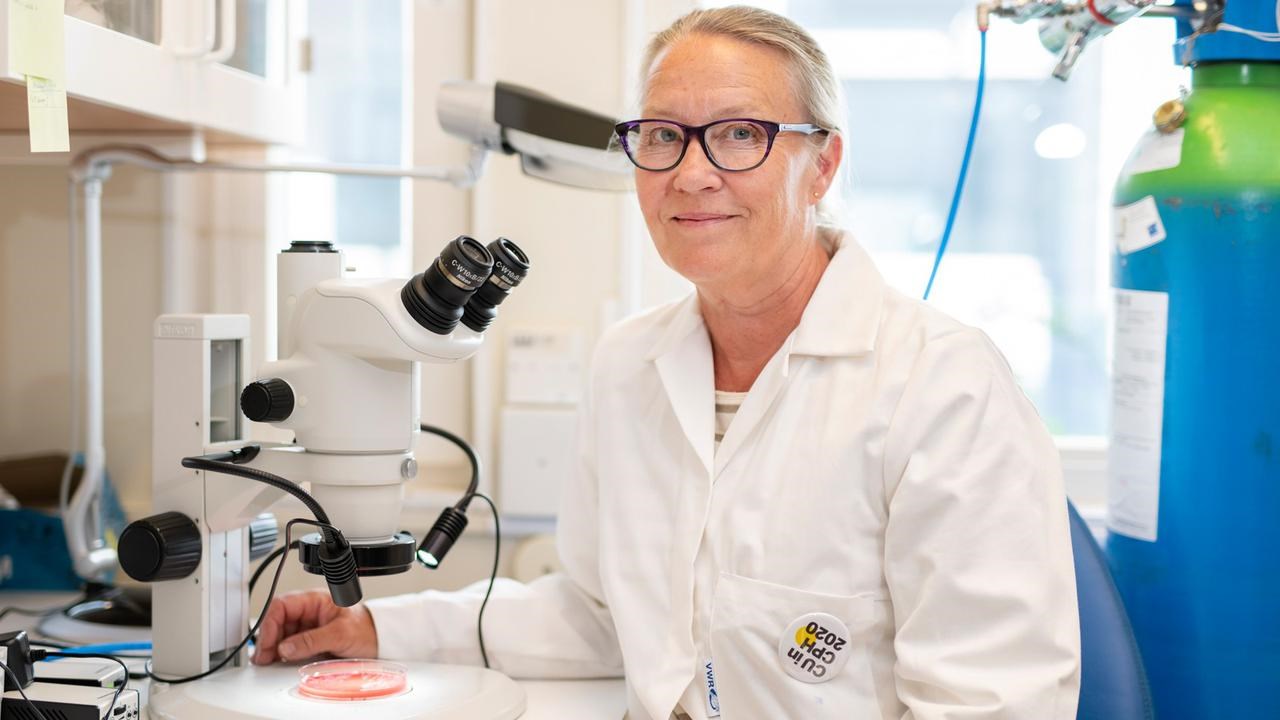 Maria Hedberg  vid mikroskopet