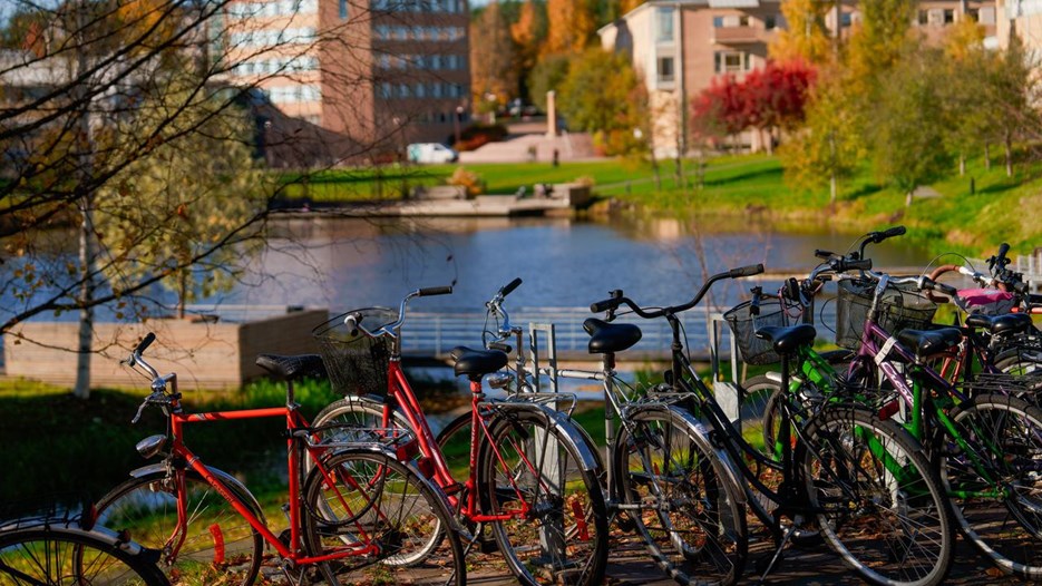 Campus Umeå during autumn
