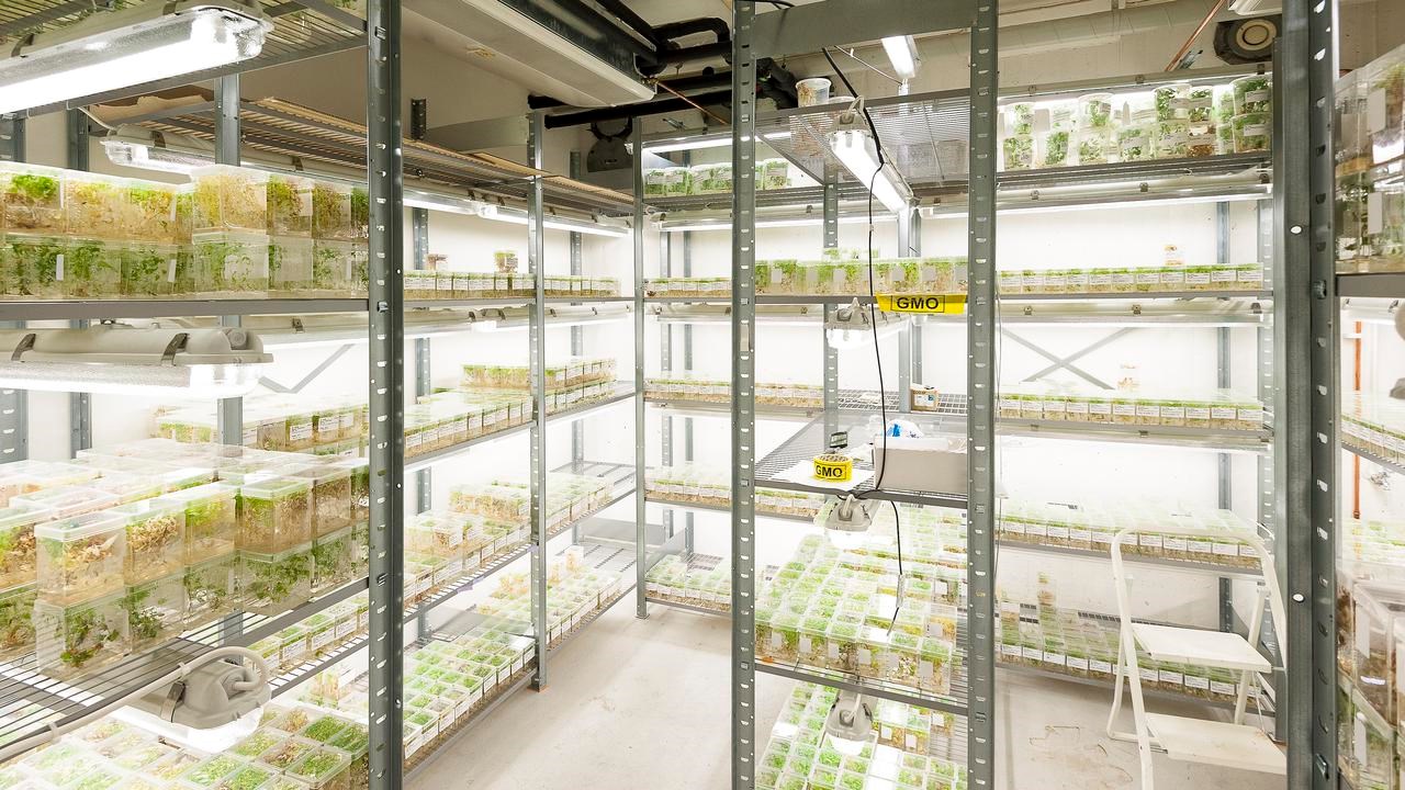 Bild från UPSC:s biobank