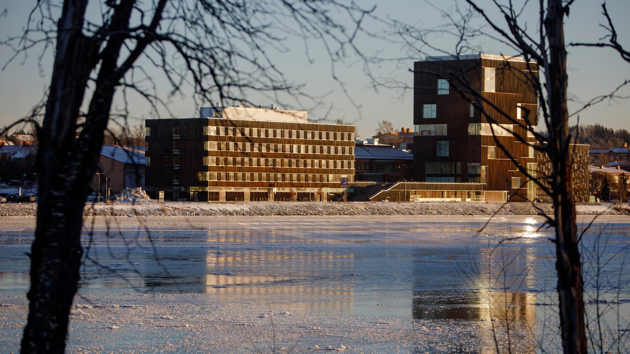 Utsikt mot Konstnärligt campus med träd och älven i förgrunden.