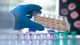 Hand som håller en platta med prover