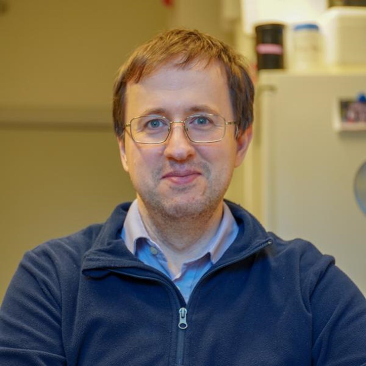 Bild på Dmitry Malyshev